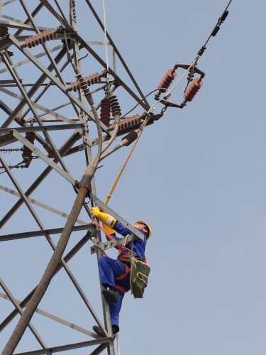 春檢一線 春檢一線